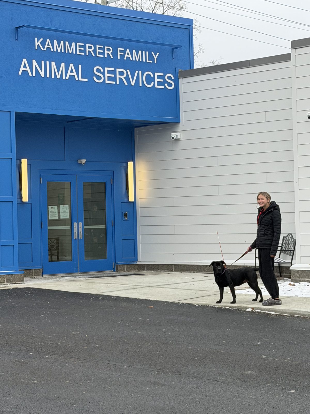 Addison Walking Shelter Dog